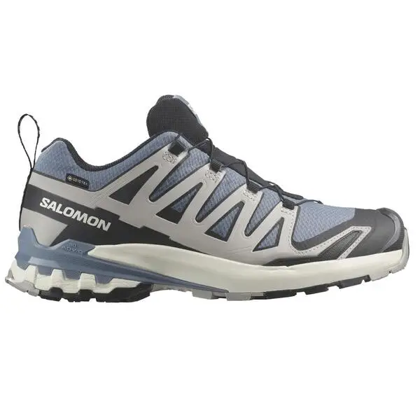 Salomon XA PRO 3D V9 GTX Flint Stone/Black/Ghost